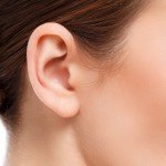 Model ear