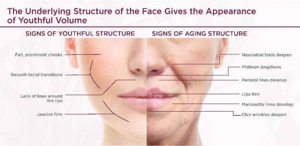 The fundamentals of a youthful face