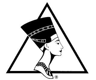 National Aesthetic Surgery Group logo